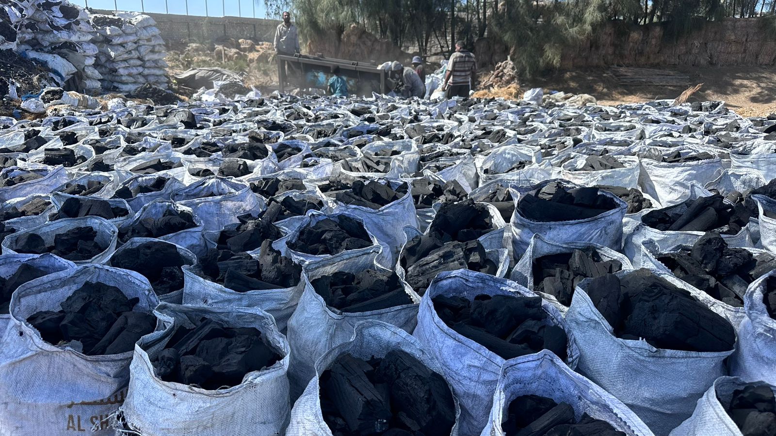 جميع انواع الفحم النباتي للتصدير