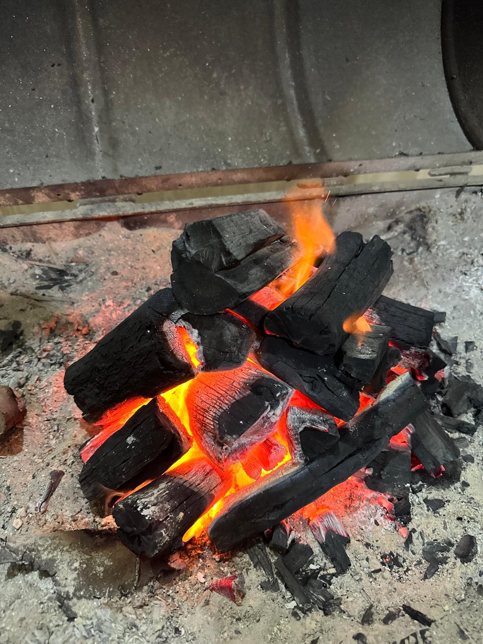 فحم الجزورين النباتي مشاوي للتصدير