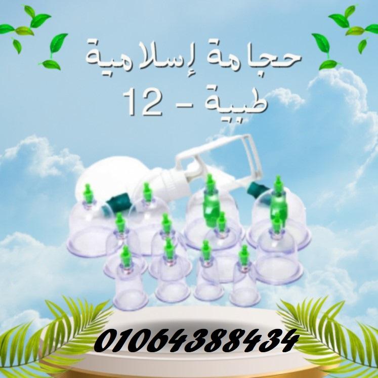 وسادة جل داعمة للظهر والعمود الفقري Egg Sitter