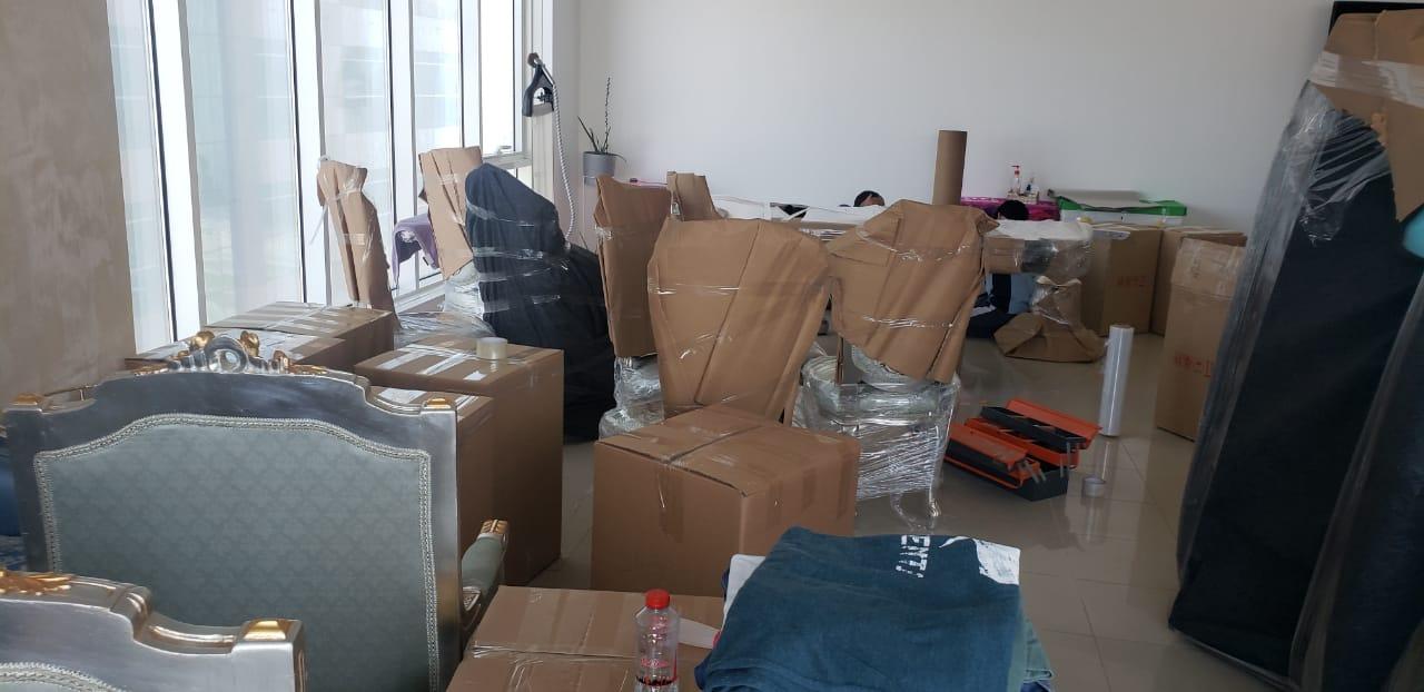 Force Movers and packers